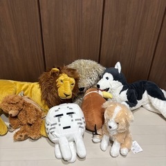 ぬいぐるみの画像