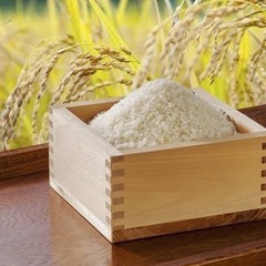 白米🌾💕