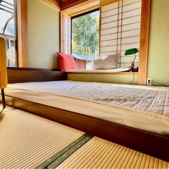 サルノコシカケ 大 ダブル