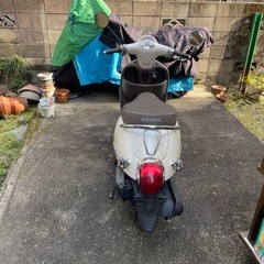 ホンダ　ジョルノ❗️の画像