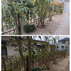 九州全域を対応とし、庭全般にお応えします。 - 玉名郡