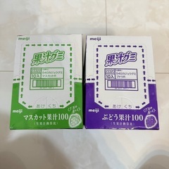 果汁グミ 2箱(20袋)