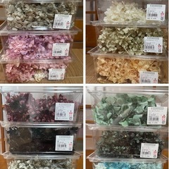 4/4まで！【プリザーブドフラワー/花材】まとめ売り