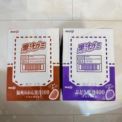 果汁グミ 2箱(計20袋)