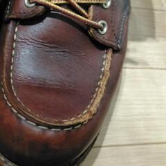 REDWING25.5cmの画像