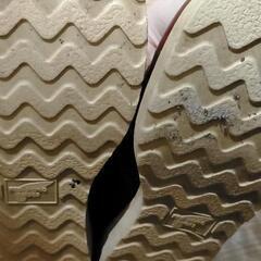 REDWING25.5cmの画像