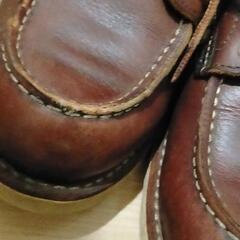 REDWING25.5cmの画像