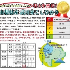 コシヒカリ5キロ