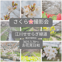 🌸さくら撮影　500円キャンペーン🎁写真データ1枚プレゼント@都...