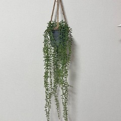 ニトリ　造花