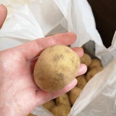 25.5〜26cmのトレッキングシューズを貸してほしいです。