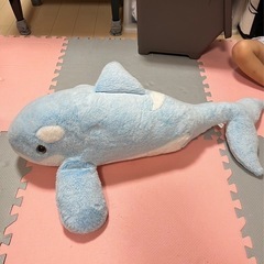 大きなイルカの画像