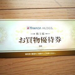 ヤマダ電機 株主優待・お買物優待券　500円×6枚 3000円分