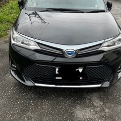カローラフィールダーWXB