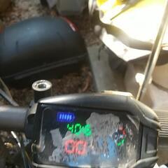 ジャンク 特定原付 zuimi K7s 中華折り畳み三輪電動バイクの画像