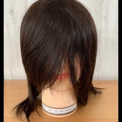 美容師実技試験レイヤーカット用モデルウィッグ3体ダッカール黒7本セットの画像
