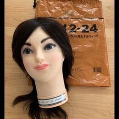 美容師実技試験レイヤーカット用モデルウィッグ3体ダッカール黒7本セットの画像