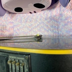 【ジャンク】アコースティックギター Dearの画像