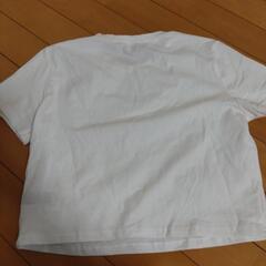 チビT　ちょうちょの画像