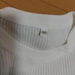 ニット白リブTシャツの画像