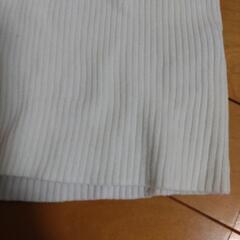 ニット白リブTシャツの画像