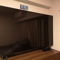 LG NanoCell 55v 2021年モデルの画像