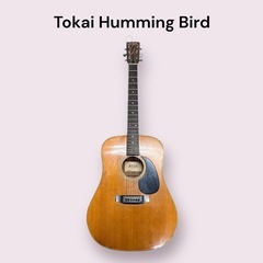 Tokai Humming Bird Wシリーズ アコースティッ...