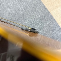 Tokai Humming Bird Wシリーズ アコースティックギターの画像