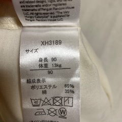 【決定】未着用　はらぺこあおむし　半袖Tシャツ 90の画像