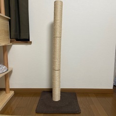 爪研ぎ