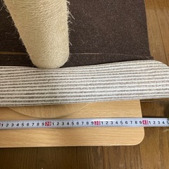 爪研ぎの画像