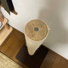 爪研ぎの画像