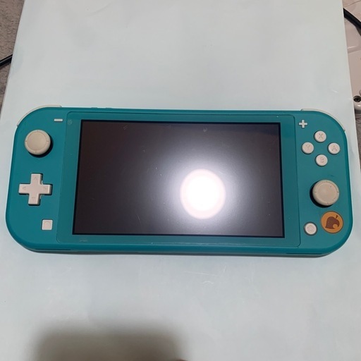 NINTENDO switch light  どうぶつの森内蔵　Minecraftのソフトセット