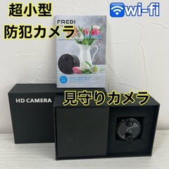 防犯カメラ 新品 超小型 ペットやお子様の見守り 動体検知 高画...