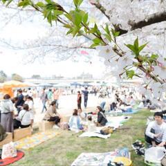 🌸武庫川桜マルフェス🌸2025🌸 - イベント