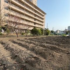 令和7年度・貸し農園メンバー募集！