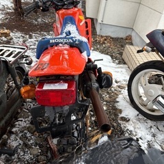 中古　ホンダ　MTX200R　MD07型モデル　希少２ストの画像