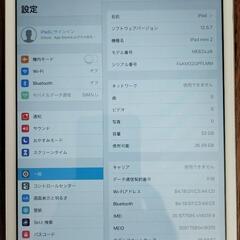 iPad mini 2