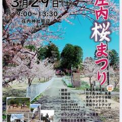 本日、庄内桜まつりになります。