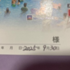 ハワイアンズペア入場券の画像