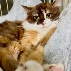 可愛い子ちゃんが待ってます