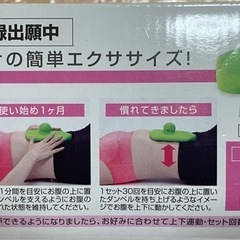 ダンベル　約3kg  健康用具の画像