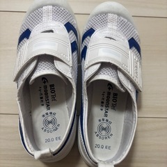 体育館シューズ20.0