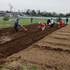 小倉の畑で自然農法の体験！（令和７年４月１２日）