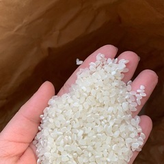 お米が買いたい、販売してください