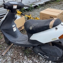 鈴木　原付
の画像