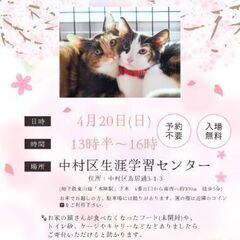 2025年4月20日(日)～保護猫の譲渡会～名古屋市 中村区 里...