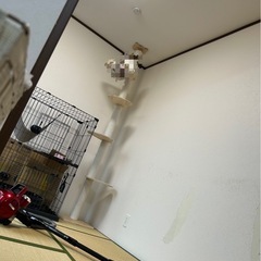 【お話中】キャットタワー