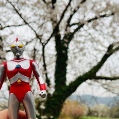 ウルトラマン好き集まれ！