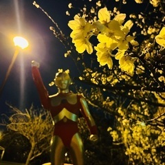 ウルトラマン好き集まれ！ - その他